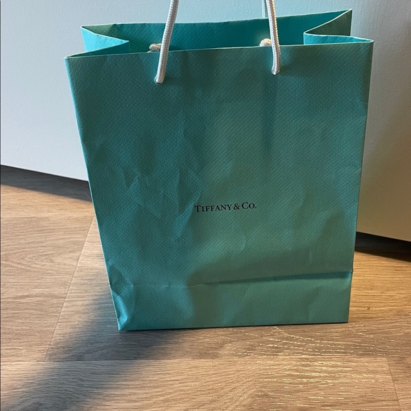 Tiffany & Co. Gift Bag - Picture 8 of 8